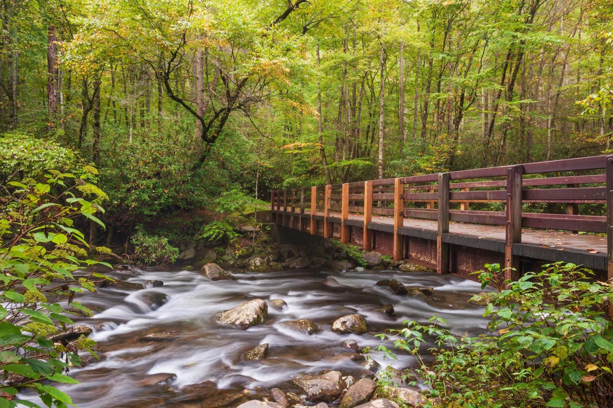Majestic View Lodge, Amazing Views, Hot Tub, 1089 Free Tickets Each Paid Day, Dollywood And More Gatlinburg Eksteriør billede
